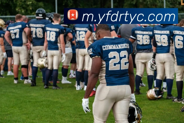 App Interface Preview